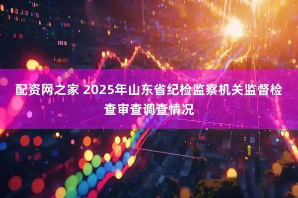 配资网之家 2025年山东省纪检监察机关监督检查审查调查情况