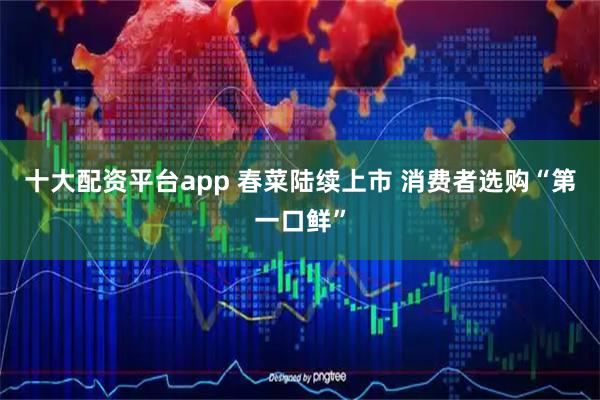 十大配资平台app 春菜陆续上市 消费者选购“第一口鲜”