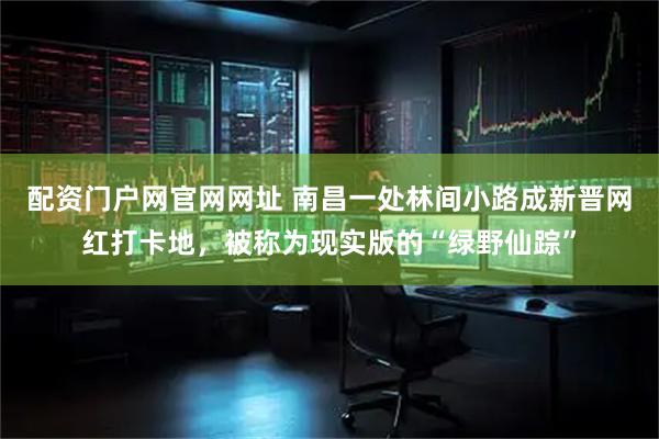 配资门户网官网网址 南昌一处林间小路成新晋网红打卡地，被称为现实版的“绿野仙踪”