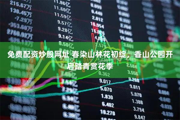 免费配资炒股网址 春染山林花初绽，香山公园开启踏青赏花季