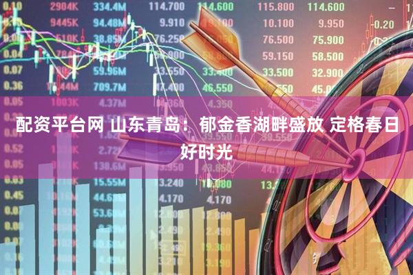 配资平台网 山东青岛：郁金香湖畔盛放 定格春日好时光